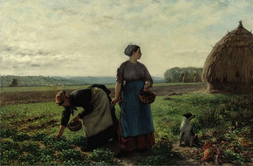 Raccoglitrici di viole
